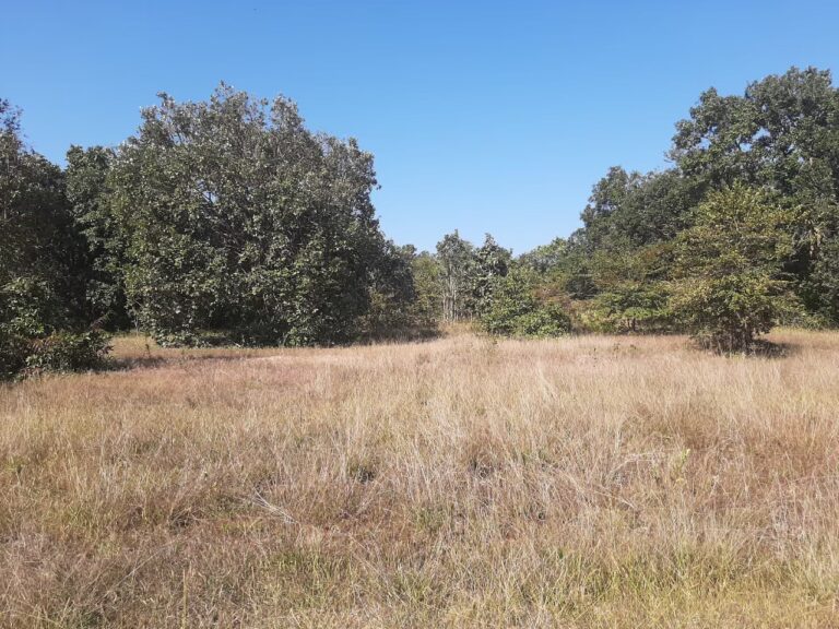 ที่ดินเปล่า  จ.มุกดาหาร