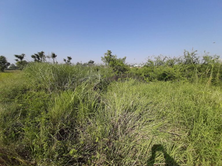 ที่ดินเปล่า  จ.พิษณุโลก