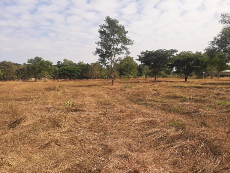 ที่ดินเปล่า จ.สกลนคร